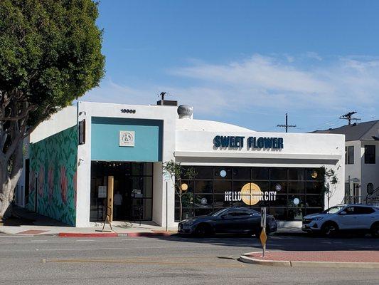 Sweet Flower - Culver City