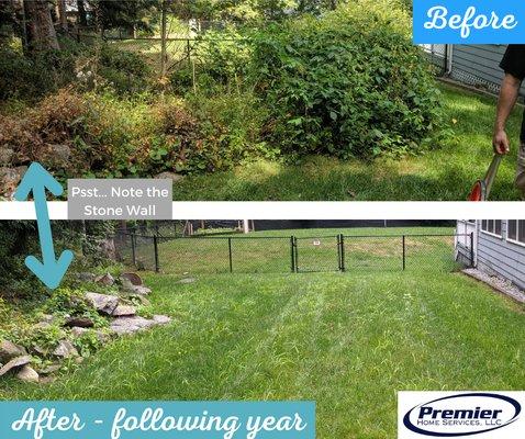 Removing invasive vegetation and expanding the lawn is a great way to keep unwanted vegetation out of the yard!