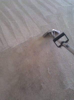 Performance carpet cleaning we get it done the righ way..