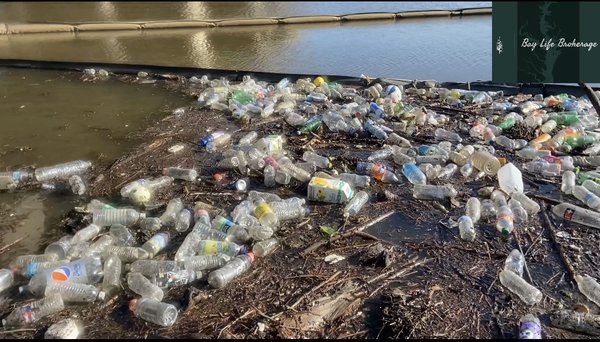 Trash after big August 2023 storm on the Chesapeake Bay