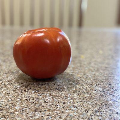 Amazing tomato!