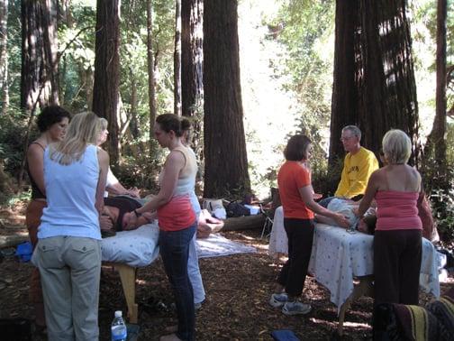 Reiki class in the Redwoods