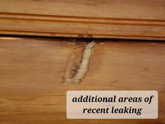 Ongoing damage to vintage knotty pine ceiling.