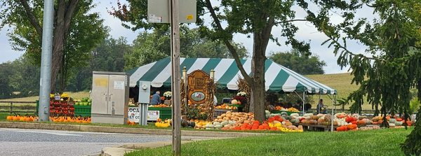 Misty Valley Farms