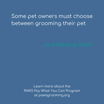 All contributions go toward services provided to pet owners under major financial strife. Ask your groomer how you can help.