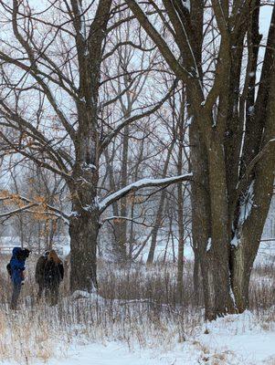 One of our Naturalists, Erica, demonstrating to a local news crew how to tap a maple tree.