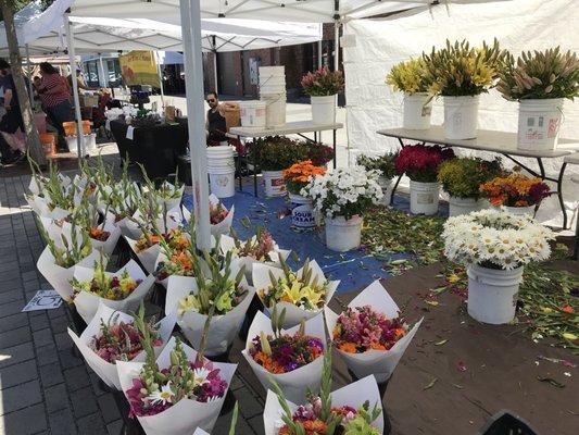 Mount Vernon Farmers Market