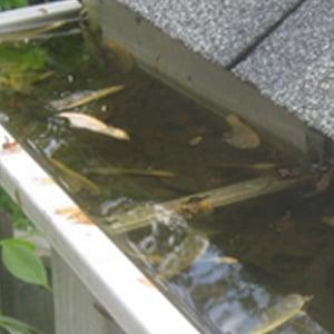 Gutter Cleaning