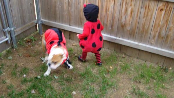 costumes a girl and her dog