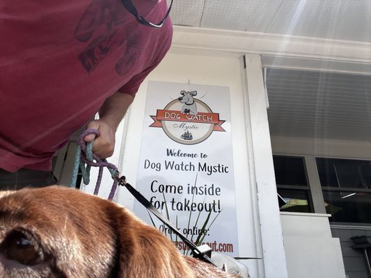 Piper the chocolate lab checking out the Dog Watch menu!