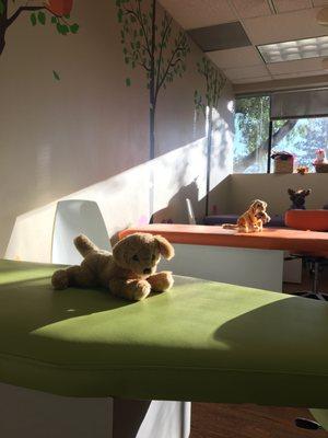 Our stuffed animals love spending time with the patients.