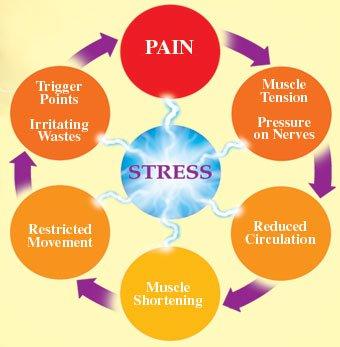 Get rid of your PAIN cycle.