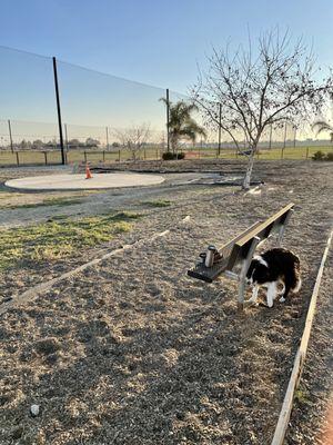 The adjacent closed in dog park.