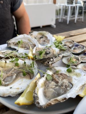 Local oysters and clams