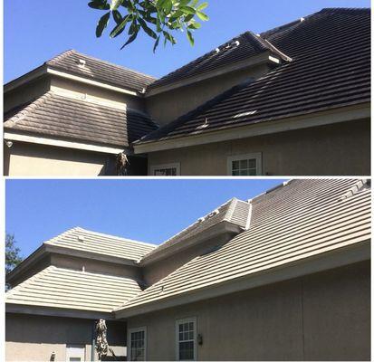 Before and After Roof Cleaning