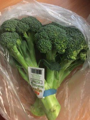 Foxy Organic Broccoli