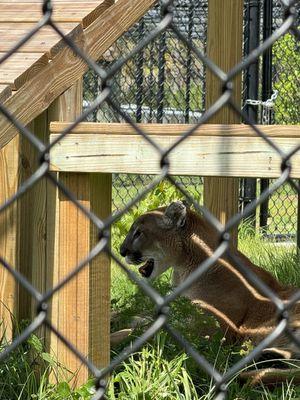 Busch Wildlife Sanctuary