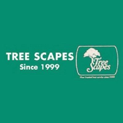 Tree Scapes