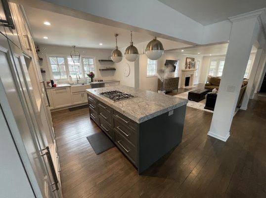 Royal Oak beautiful open concept kitchen.