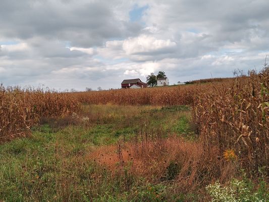 Hickory Hollow Farm