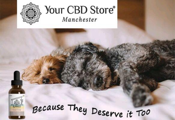 Your CBD Store