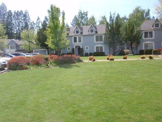 Front lawn of Gold Creek Village Apartments in Alta Sierra