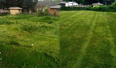 THE BEFORE AN AFTER PHOTOS OF A CUSTOMER'S PROPERTY AFTER HIRING RIVER'S LAWNCARE & HOME REPAIR'S COMPANY.