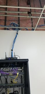 Latest network build project