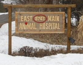 East Main Animal Hospital