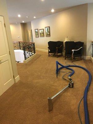 JC Carpet Cleaning