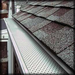 Gutter guard or leaf protection