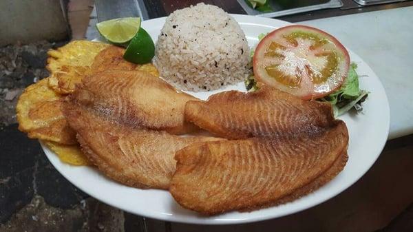 Fillete de tilapia con arroz coco, ensalada verde y patacones

Fried tilapia fillets , coconut rice, salad and fried plantains