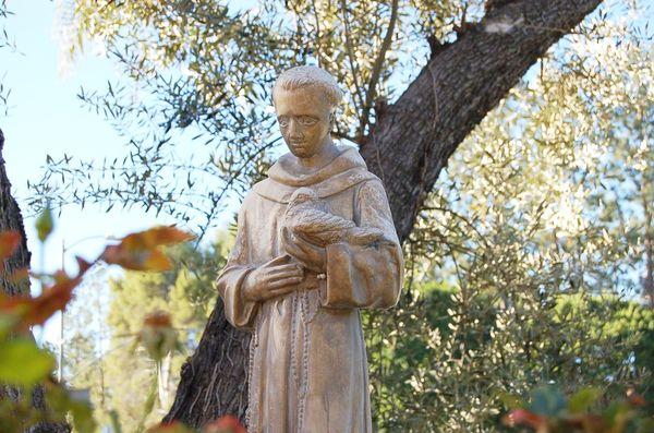 St. Francis of Assisi watches over the creatures in our garden. We are big animal lovers at this Parish, and do an annual animal blessing.