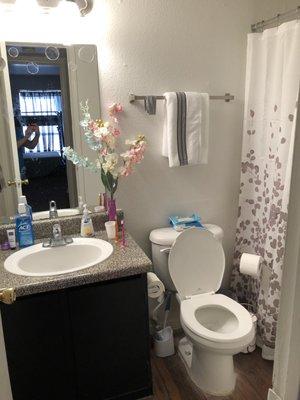 Cute little bathroom with closet