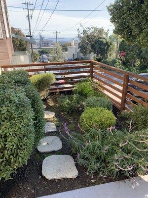 Regularly well pruned plants and shrubs in the front garden.