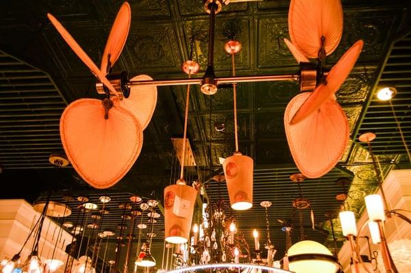 Fanimation Fan and Pendants available at Commonwealth Lighting of Virginia.