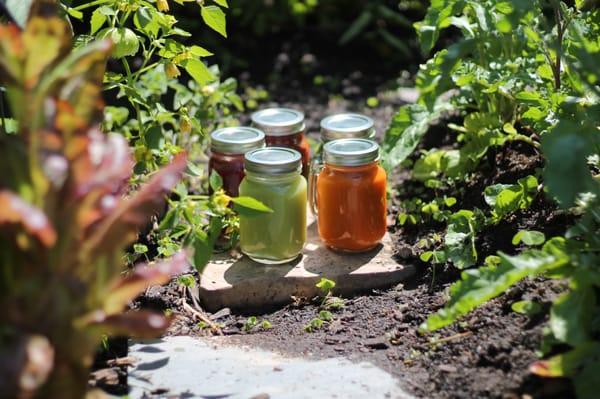 100% Organic Fresh-Pressed Juices! The best in SF by a mile!