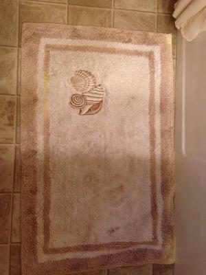 Stained rug outside of shower