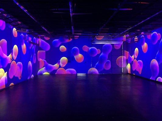 Immersive Projection Technology covers our warehouse walls