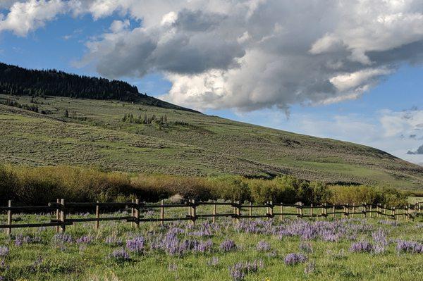 Big Horn Mountains 40 minutes from Powell WY