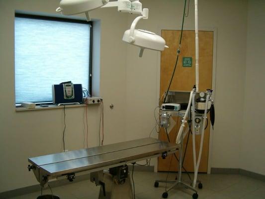 Our surgical suite with heated surgery table