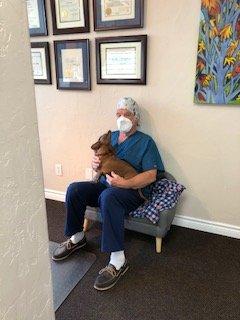 Dr. Stan and Harley, our emotional support dog!