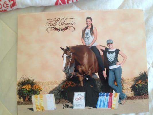 Showing, riding, training and fun!