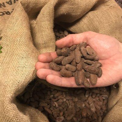 Sun dried cocoa beans ready to be roasted!