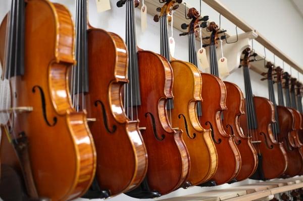 Wide selections of stringed instruments