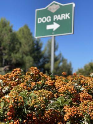 Diamond Bar Dog Park