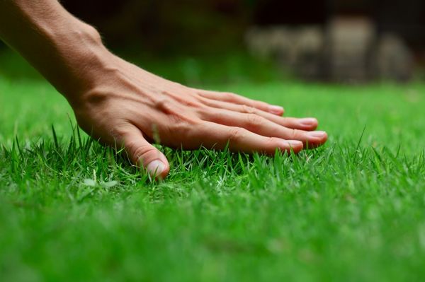 Since 1961 Lawn-A-Mat has helped ten of thousands turn their dull faded colored grass into rich, thick, luscious green lawns....