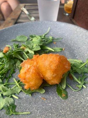 This lone cheese curd was quickly eaten