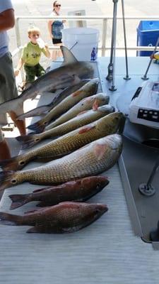 Sanibel Island Fishing Charters 
Gulf Coast Marine Excursions
http://www.gulfcoastmarineexcursions.com
239-240-1128