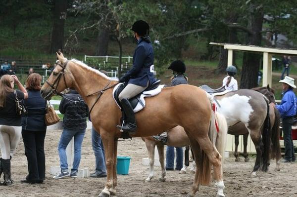 MHA Horse Show at Sequoia Arena 2009 (Photo by Kazumi Komar)